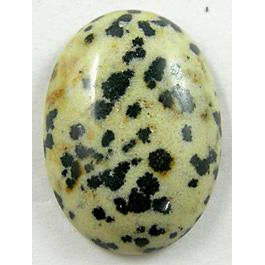 dalmatian Jasper Cabochon, flat-back Oval