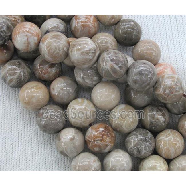 Fossil Coral Beads, chrysanthemum, round