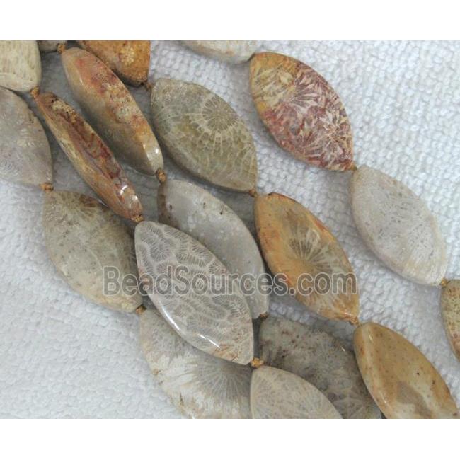 Coral Fossil Beads, chrysanthemum, horse eye