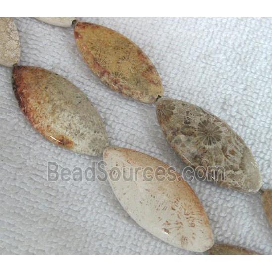 Coral Fossil Beads, chrysanthemum, horse eye