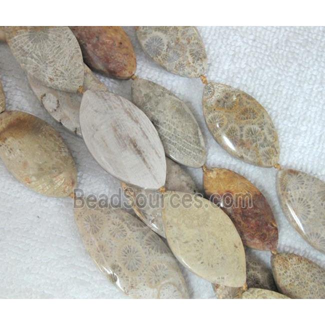 Coral Fossil Beads, chrysanthemum, horse eye