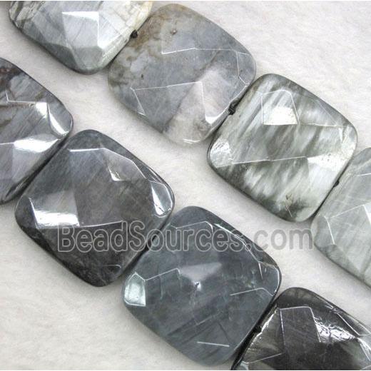 natural hawk Eye Stone beads, faceted square