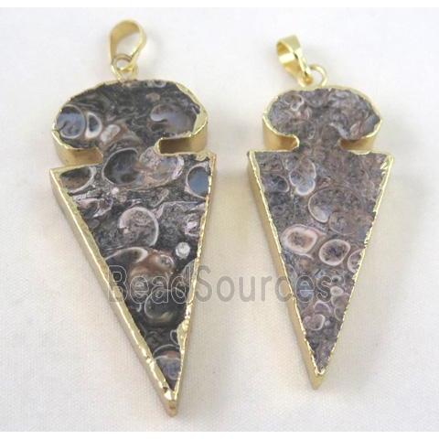 Ammonite Fossil pendant, arrowhead, gold plated