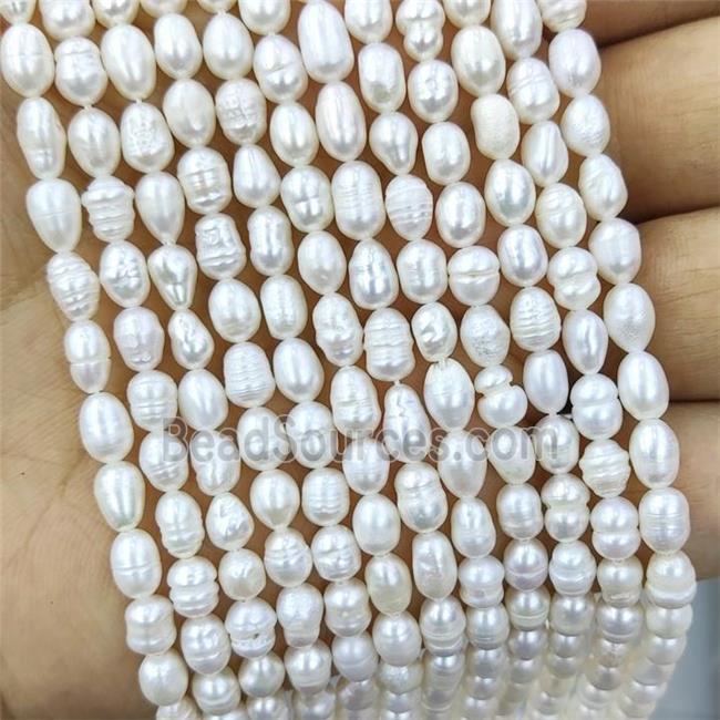 Natural White Freshwater Pearl Beads Rice C-Grade