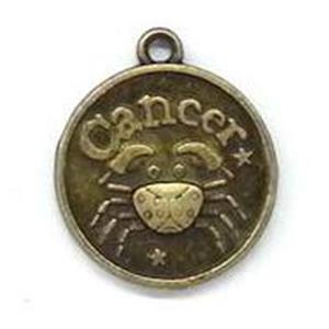 12 zodiac, alloy pendant, antique bronze, 17mm dia