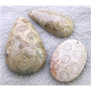 chrysanthemum Coral Fossil Jasper Pendant, mixed shaped, approx 20-40mm