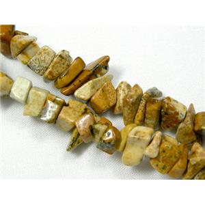 yellow Picture Jasper Chip Beads, 4-8mm