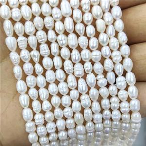 Natural White Freshwater Pearl Beads Rice C-Grade, approx 4-5mm