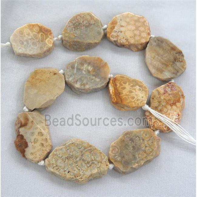 Coral Fossil slice bead, flat freeform