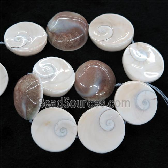 Shell Fossil beads, circle