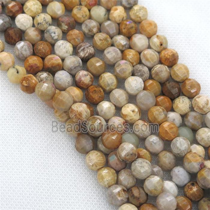 Coral Fossil Beads, faceted round