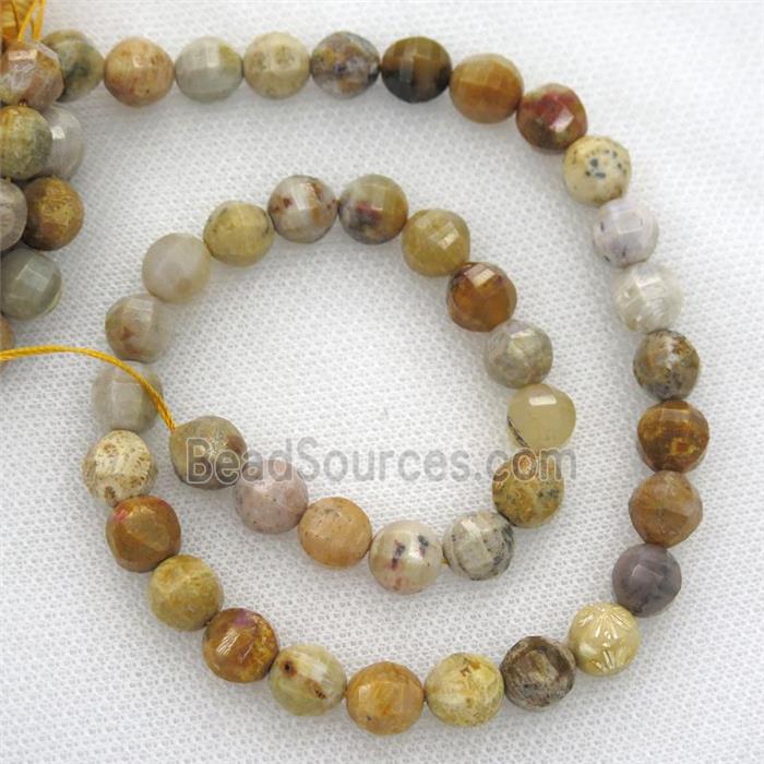 Coral Fossil Beads, faceted round