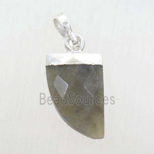 Labradorite horn pendant, silver plated