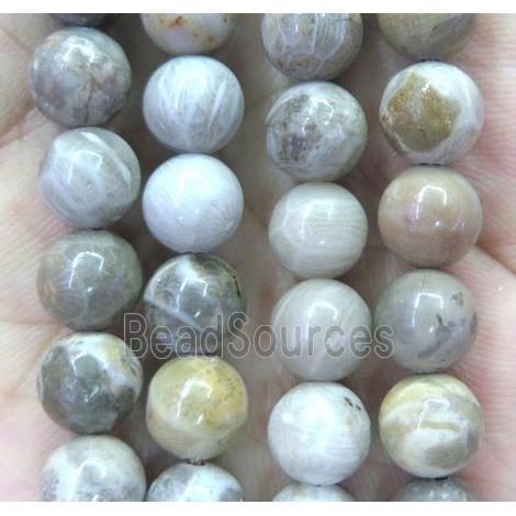 round coral fossil beads