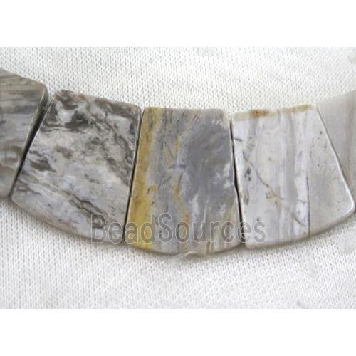 Silver Leaf Jasper necklace, freeform