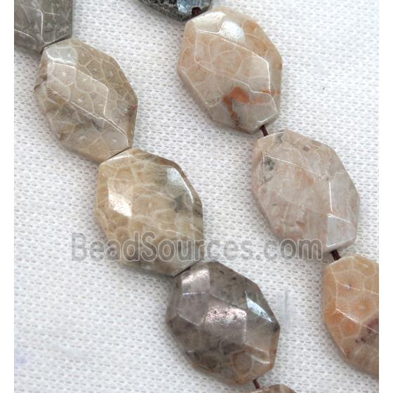 Coral Fossil slice beads, faceted freeform