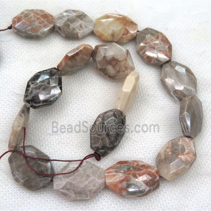 Coral Fossil slice beads, faceted freeform