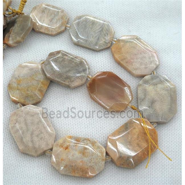 coral fossil slab beads, faceted freeform