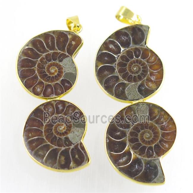 double Ammonite Fossil pendant, gold plated