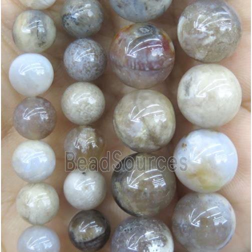 round Coral Fossil Bead, Grade B