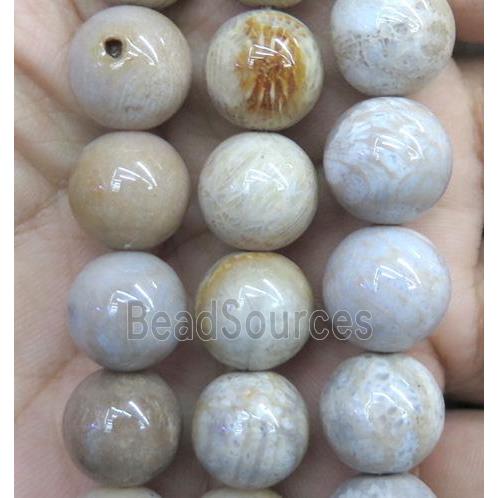 coral fossil jasper bead, round