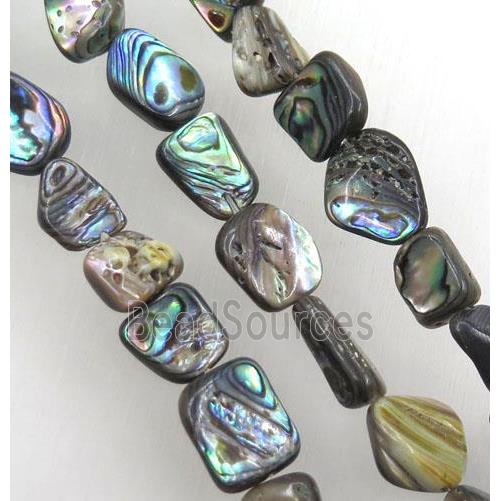 Paua Abalone shell chips bead, freeform