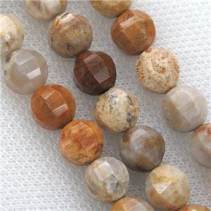 Coral Fossil Beads, faceted round, approx 9-10mm