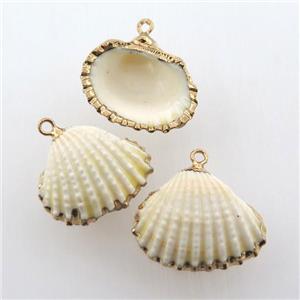 conch shell pendant, gold plated, approx 15-25mm