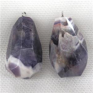 Dogtooth Amethyst pendant, freeform, approx 20-40mm