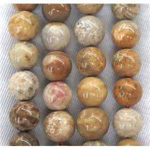 round coral fossil beads, approx 12mm dia