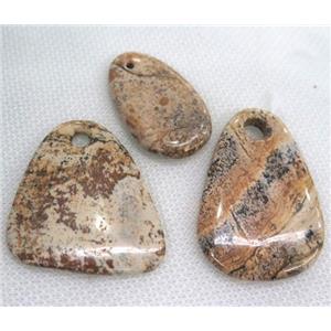 Picture Jasper pendant, mix shape, approx 20-50mm