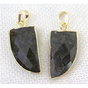 Labradorite horn pendants, gold plated, approx 12-25mm