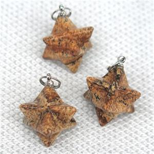 Picture Jasper pendant, star, approx 20mm dia