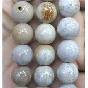 coral fossil jasper bead, round, approx 8mm dia