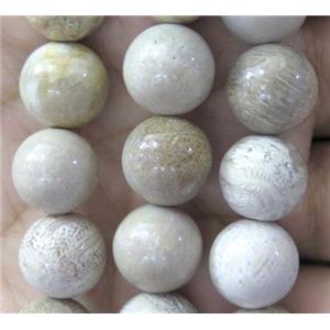 round coral fossil beads, approx 12mm dia