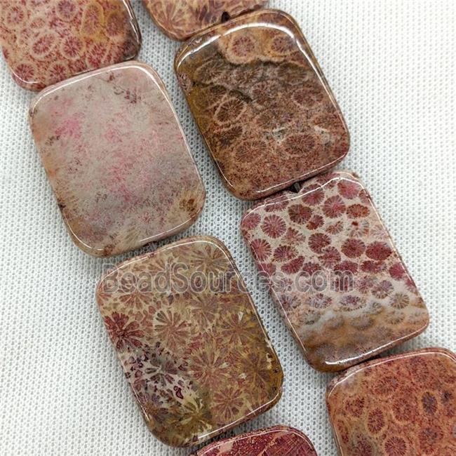 Natural Coral Fossil Beads Rectangle