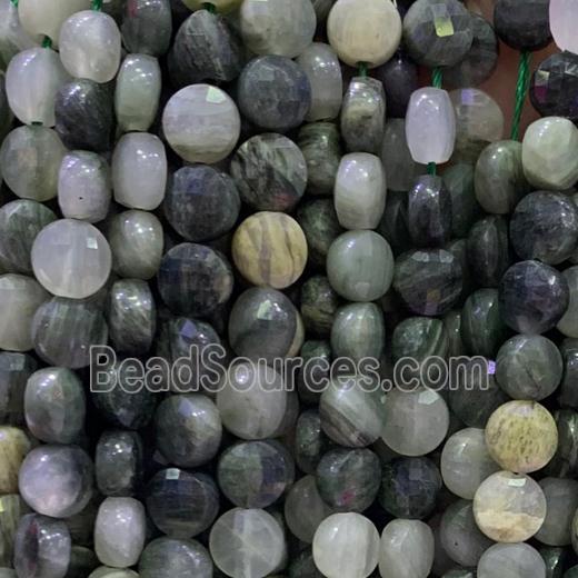 green Actinolite beads, faceted circle