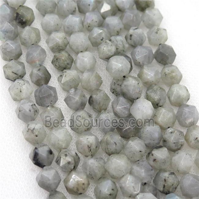 Labradorite Beads, faceted round, starcut