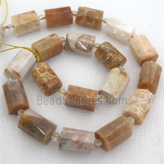 Coral Fossil beads, faceted tube