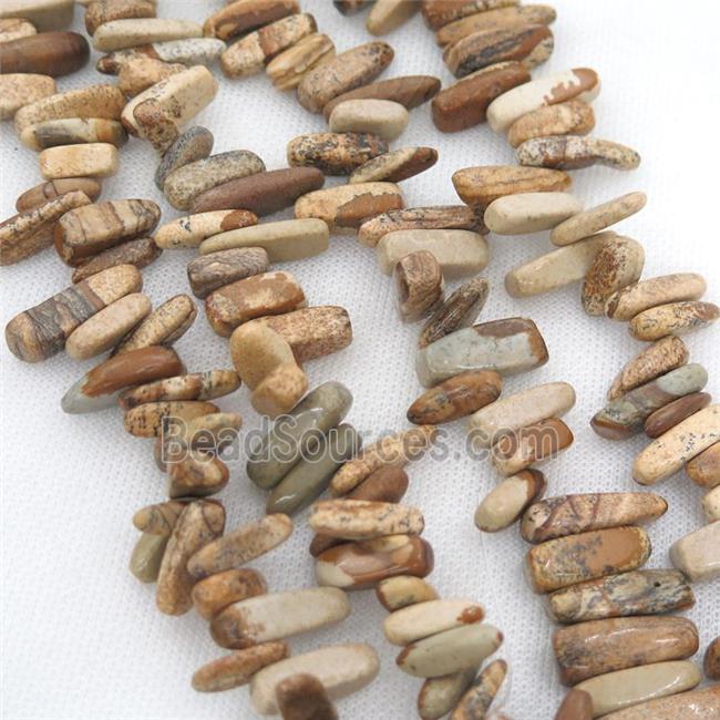 Picture Jasper beads chip