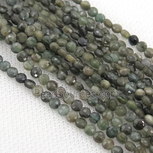 green African Chrysoprase Beads, faceted circle