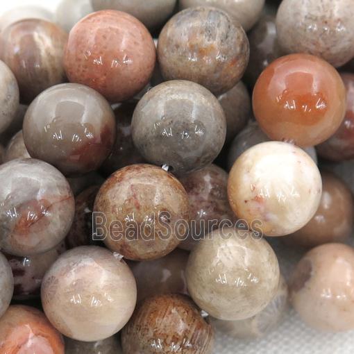 round Coral Fossil Beads, mixed color