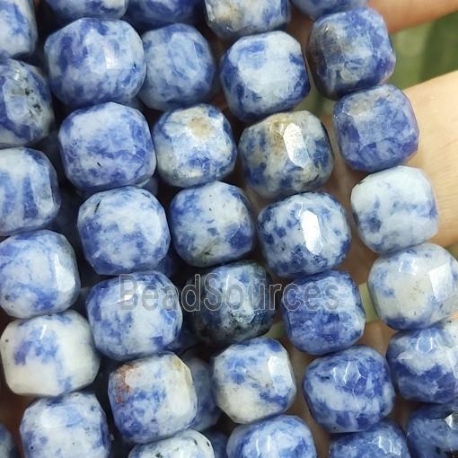 blue Dalmatian Jasper Beads, faceted cube