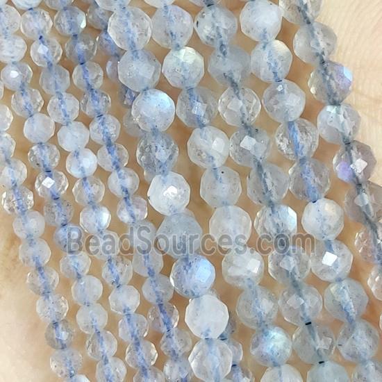 Labradorite Beads Faceted Round