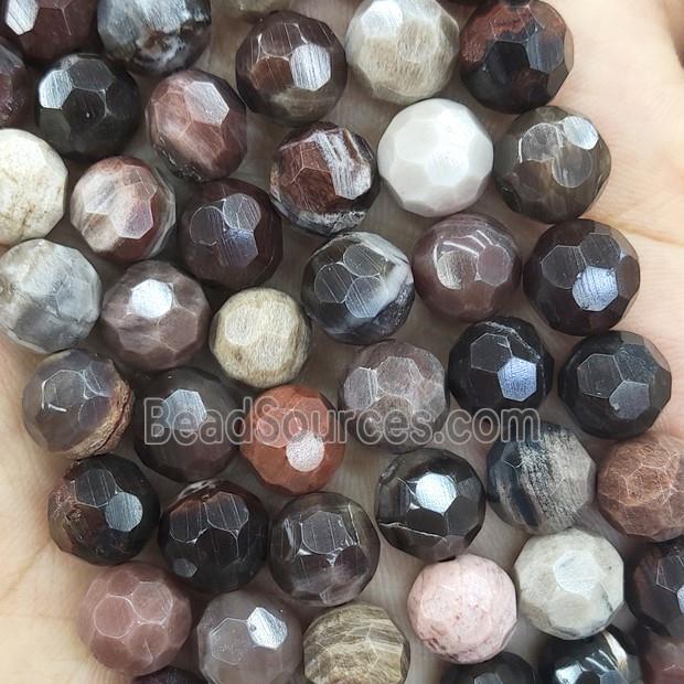 Wood Petrified Jasper Beads Multicolor Faceted Round