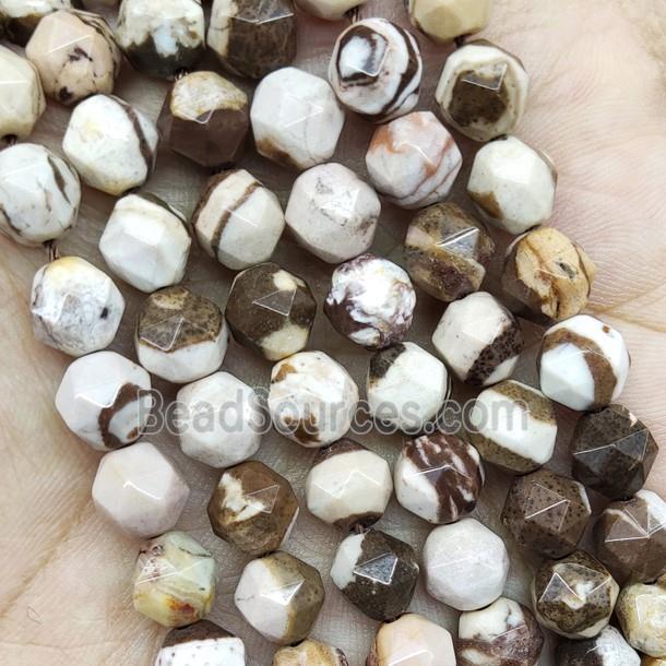 Austrilan Zebra Jasper Beads Cut Round