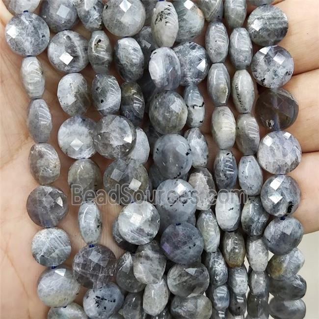 Natural Labradorite Beads Faceted Circle