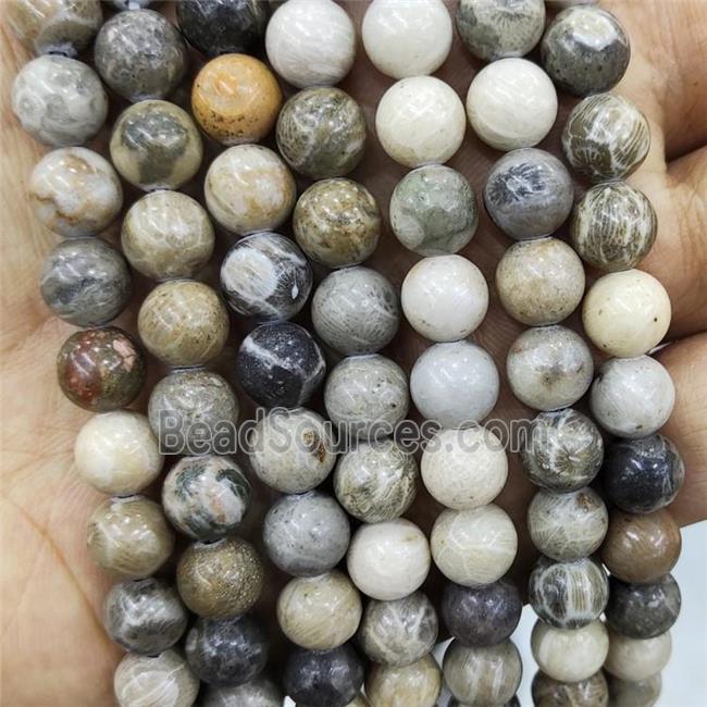 Natural Coral Fossil Beads Smooth Round