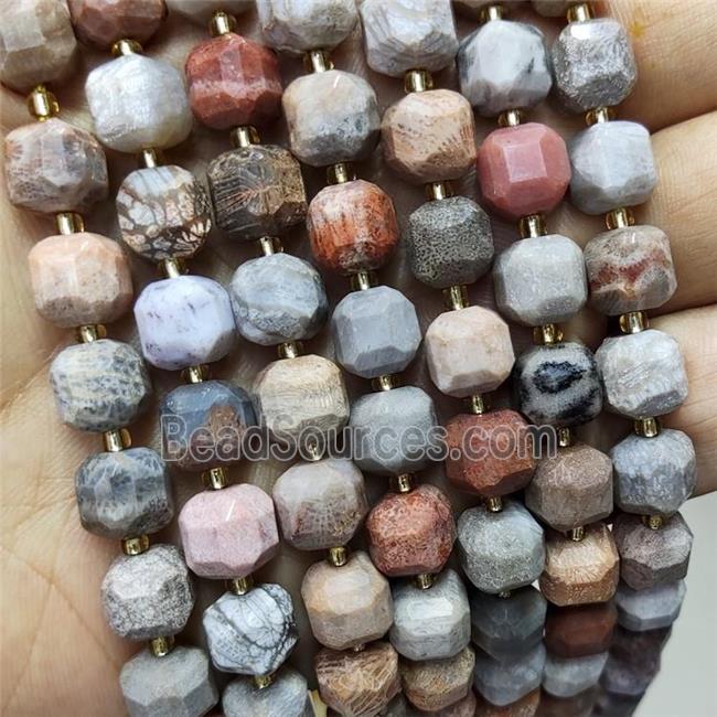 Natural Coral Fossil Beads Faceted Cube