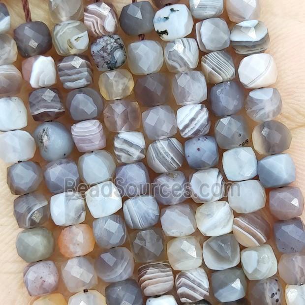 Natural Botswana Agate Beads Gray Faceted Cube